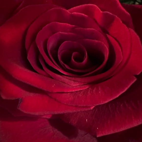 lorianne_w